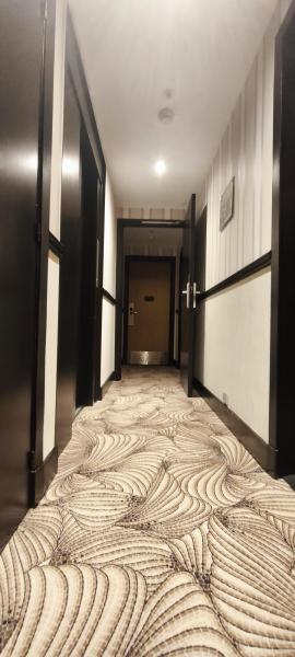 Hôtel Elysées Bassano