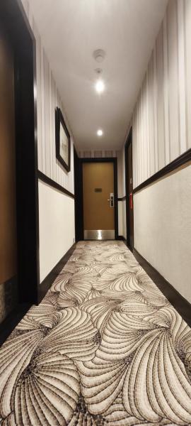 Hôtel Elysées Bassano