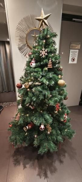 Hôtel Elysées Bassano