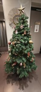 Hôtel Elysées Bassano